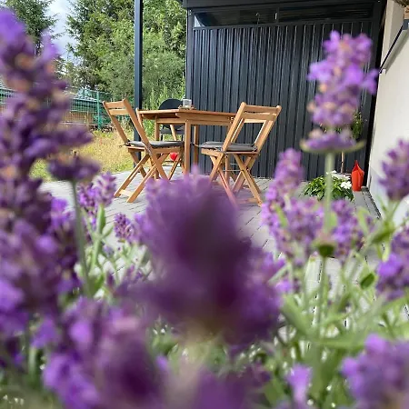Ferienwohnung Im Chalet Scheibenberg Exterior foto